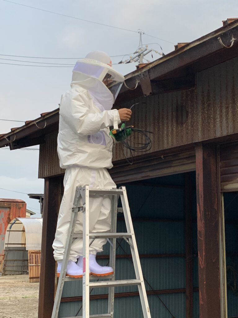 ハチ駆除の様子